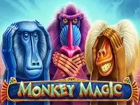 Monkey Magic – обзор на магический слот в казино 1win ⭐️