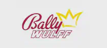 Bally Wulff - провайдер. Игровые автоматы от производителя.